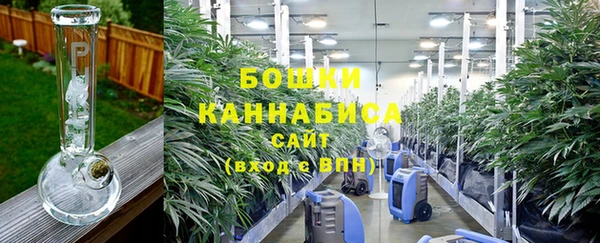 прущие грибы Вяземский
