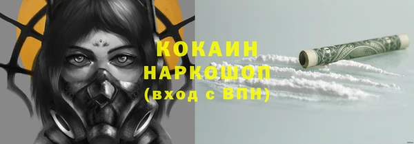 прущие грибы Вяземский