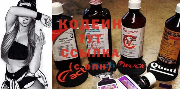прущие грибы Вяземский