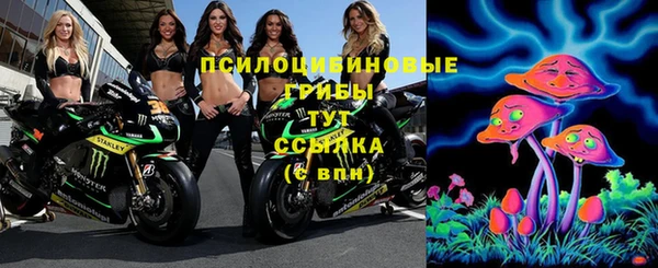 марки lsd Горнозаводск
