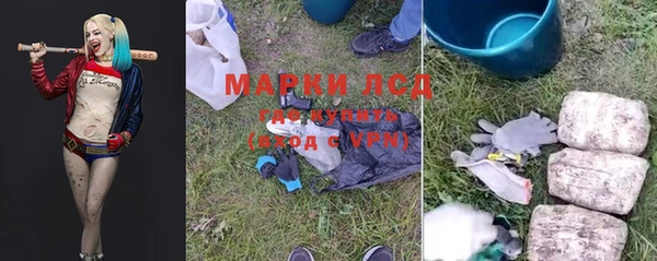 прущие грибы Вяземский