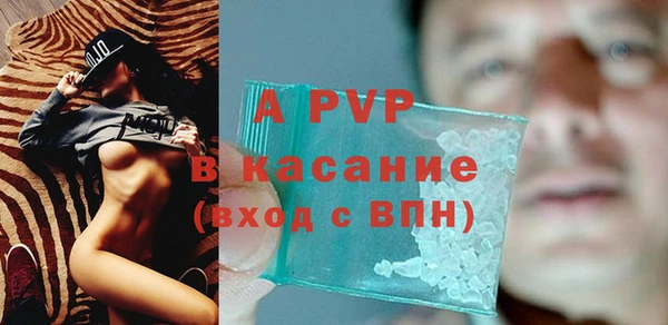 прущие грибы Вяземский