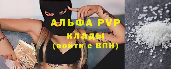 прущие грибы Вяземский