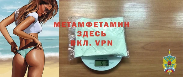 прущие грибы Вяземский