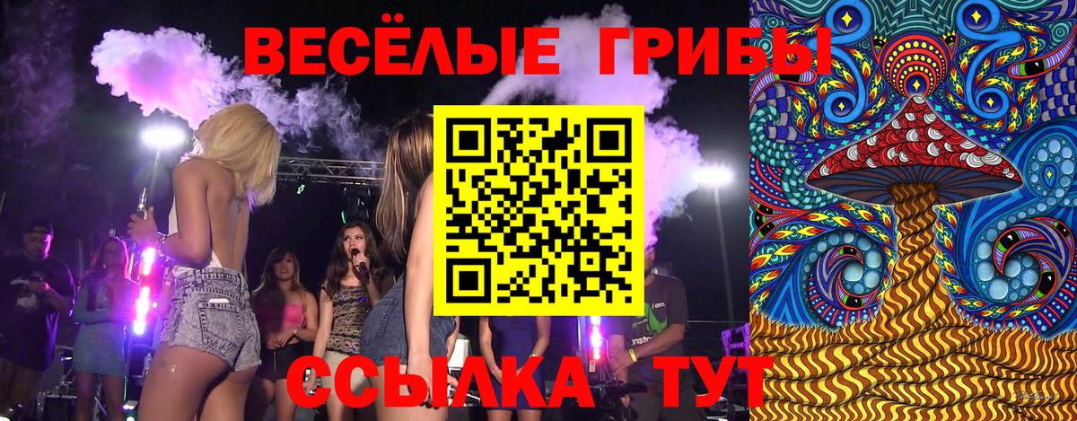 Псилоцибиновые грибы ЛСД Ноябрьск