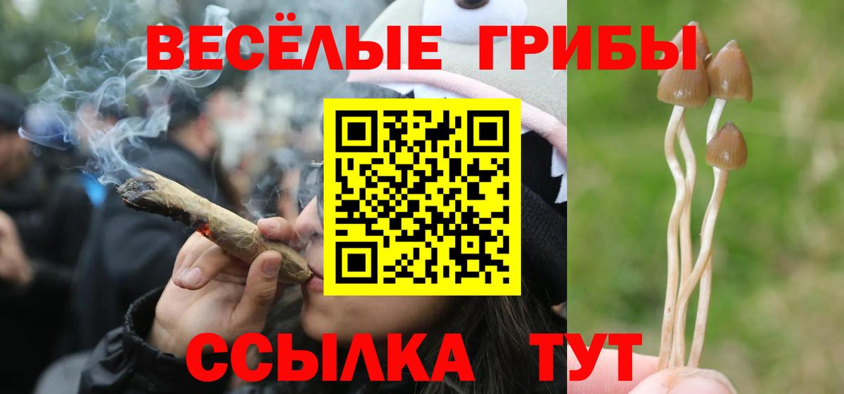 купить закладку  Вход с VPN  Ноябрьск  Псилоцибиновые грибы MAGIC MUSHROOMS 